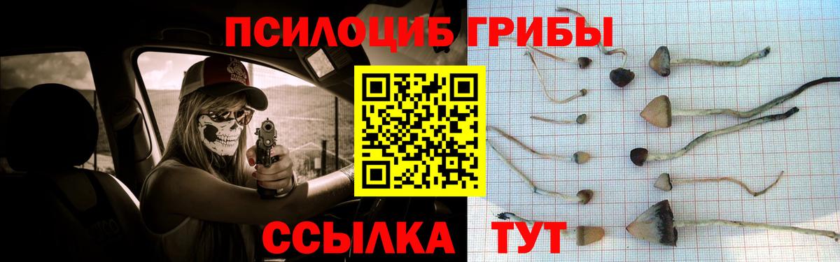 Галлюциногенные грибы прущие грибы Озёрск